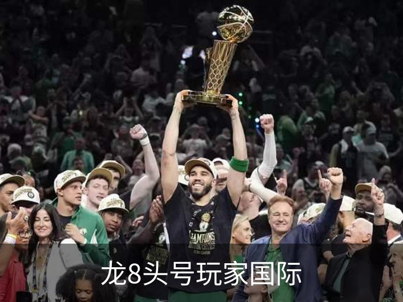 了解龙8头号玩家国际